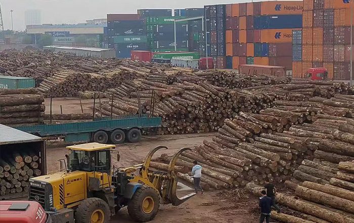 huang-dao-container-terminal-feature