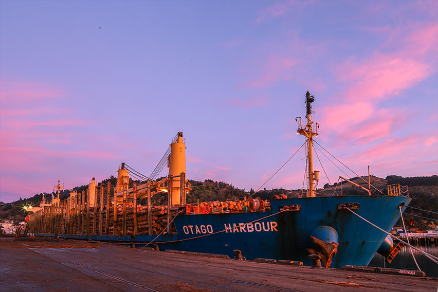 otago-harbour-logs