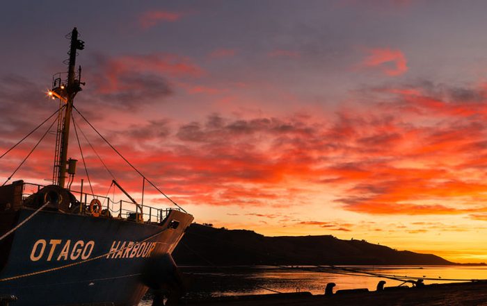 otago-harbour-sunrise