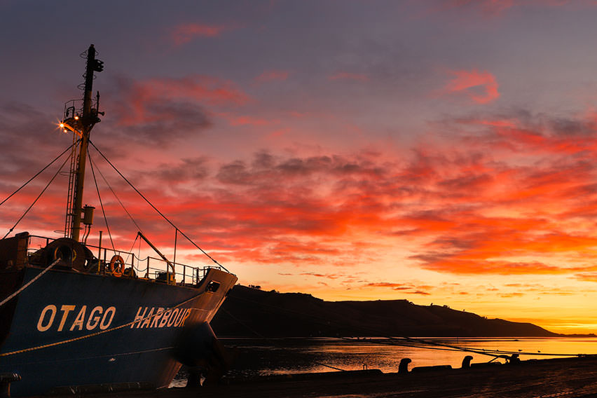 otago-harbour-sunrise